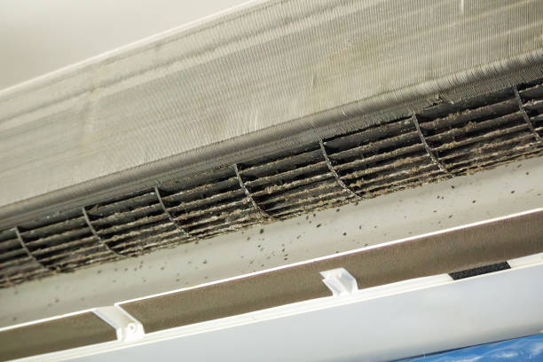 Best Air Duct Cleaning Near Me  in Osseo, WI